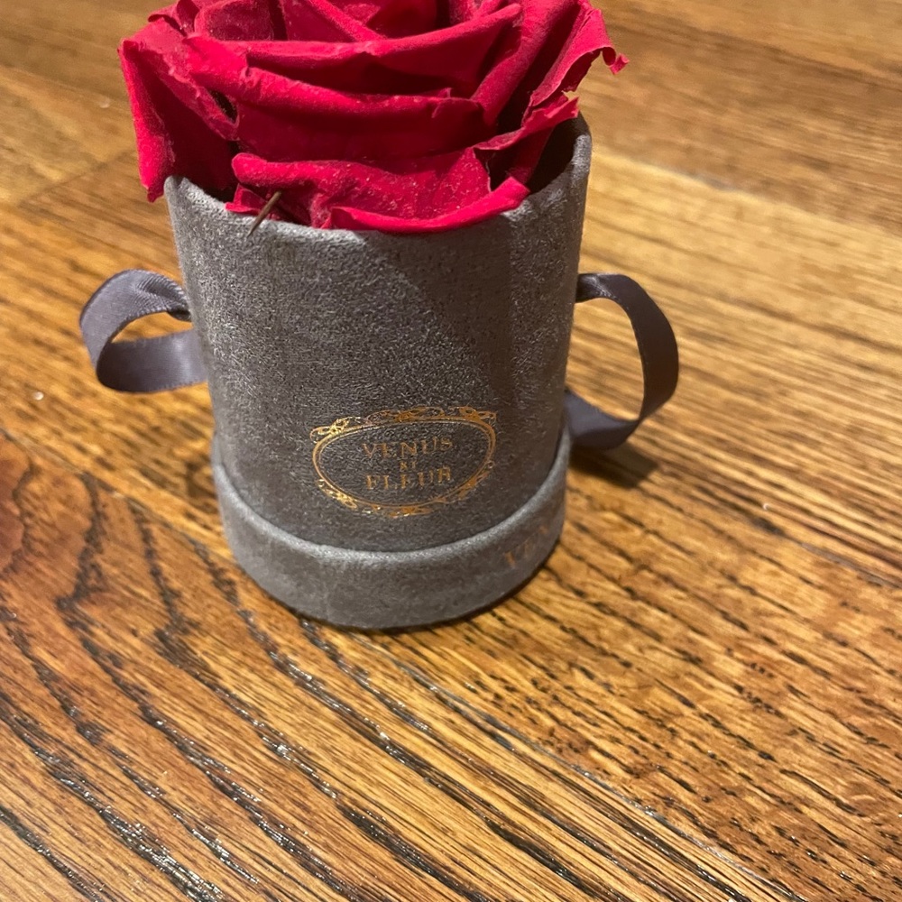 venus et fleur red rose single